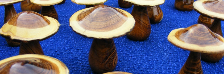 Laburnum mushrooms /toadstools  an ideal gift. Buy from the online shop.
